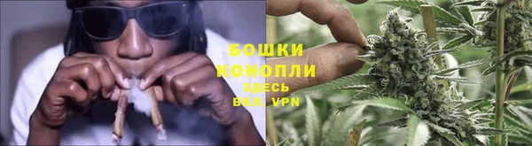 ECSTASY Дмитровск