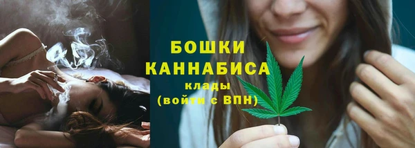 прущие крисы Инта