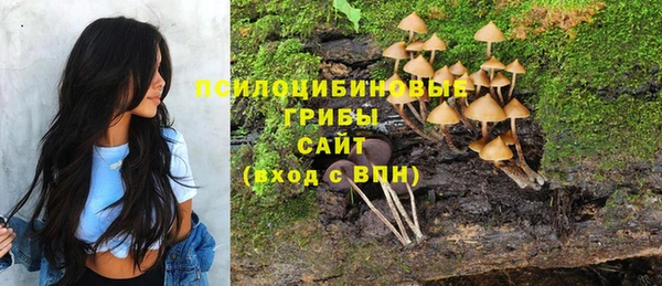 амф Алексин