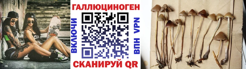 Псилоцибиновые грибы мицелий  цены наркотик  Красногорск 